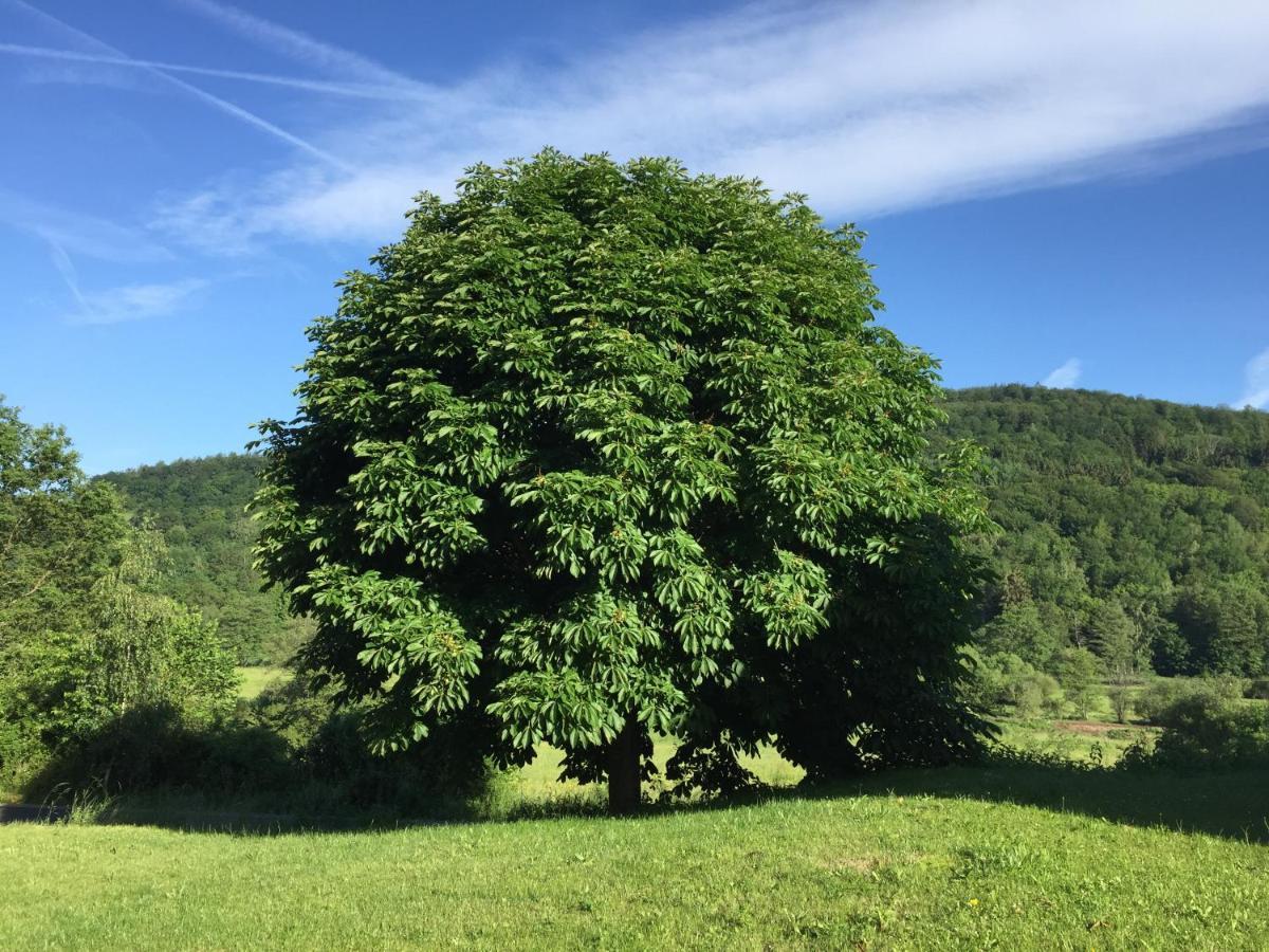 Landhotel Weisses Ross Garni Bad Bruckenau Bagian luar foto
